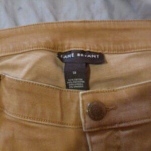 Lane Bryant Pants SIze 18